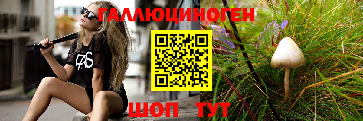 Псилоцибиновые грибы Magic Shrooms Щёлково
